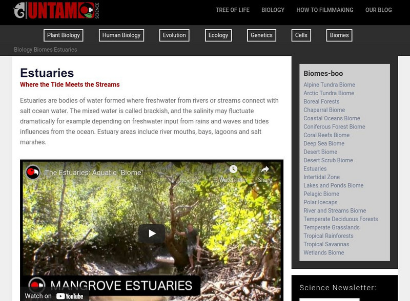 Untamed Science: Biology: World Biomes: Estuaries Biome Website Untamed Science: Biology: World Biomes: Estuaries Biome Website
