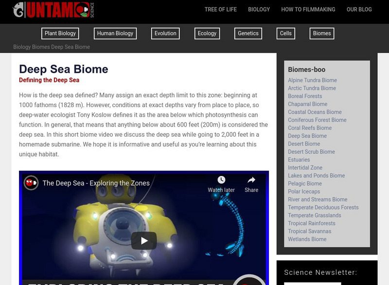 Untamed Science: Biology: World Biomes: Deep Sea Biome Website Untamed Science: Biology: World Biomes: Deep Sea Biome Website