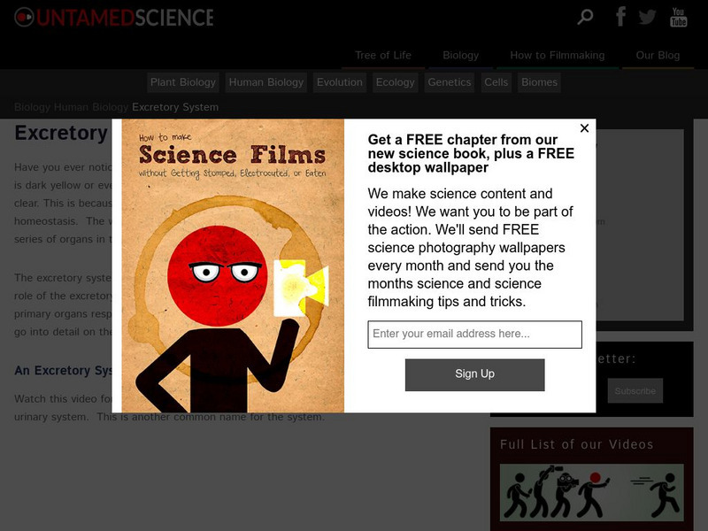 Untamed Science: Biology: Human Biology: Excretory System Website Untamed Science: Biology: Human Biology: Excretory System Website