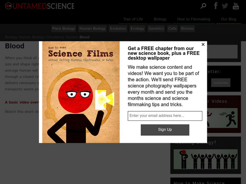 Untamed Science: Biology: Human Biology: Blood Website Untamed Science: Biology: Human Biology: Blood Website