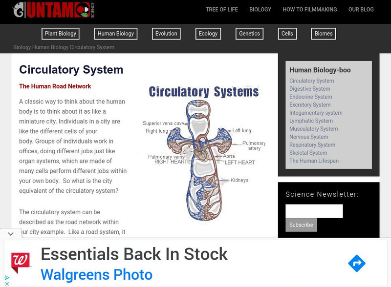 Untamed Science: Biology: Human Biology: Circulatory System Website