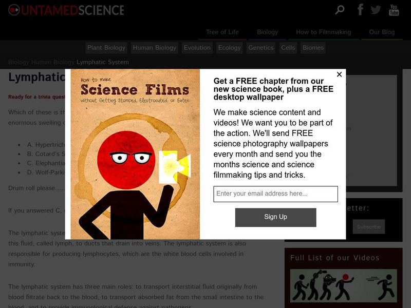 Untamed Science: Biology: Human Biology: Lymphatic System Website Untamed Science: Biology: Human Biology: Lymphatic System Website
