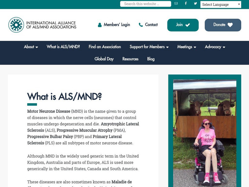 International Alliance of Als/mnd Association Handout