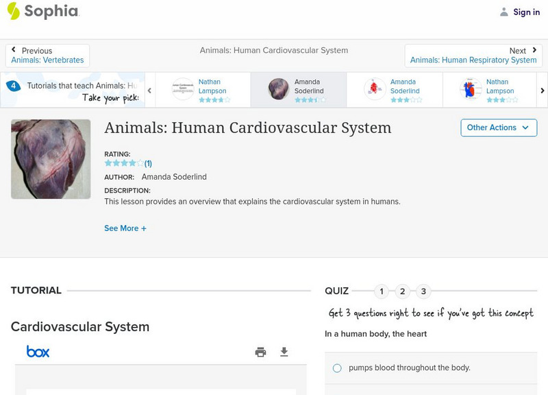 Sophia: Animals: Human Cardiovascular System: Lesson 2 PPT Sophia: Animals: Human Cardiovascular System: Lesson 2 PPT