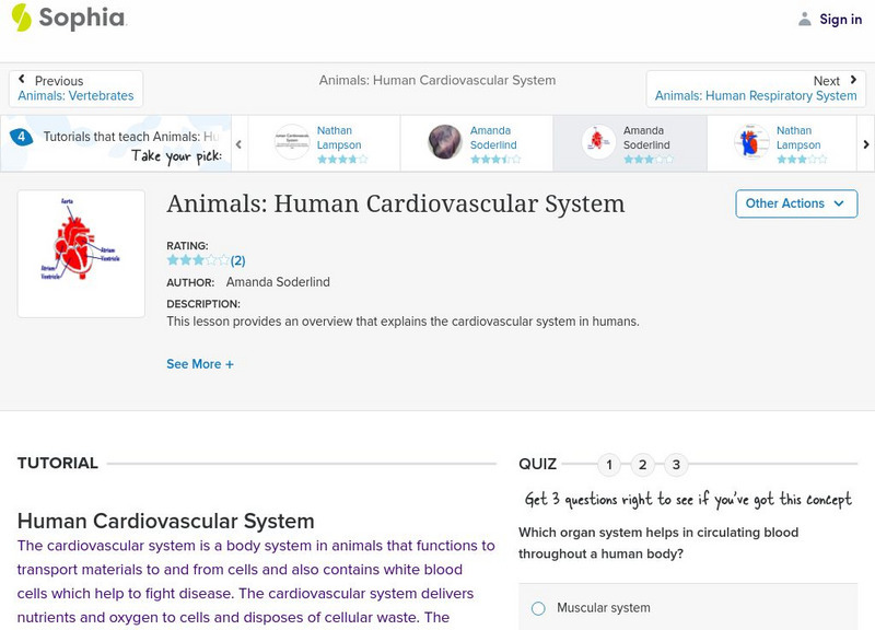 Sophia: Animals: Human Cardiovascular System: Lesson 3 Unit Plan Sophia: Animals: Human Cardiovascular System: Lesson 3 Unit Plan