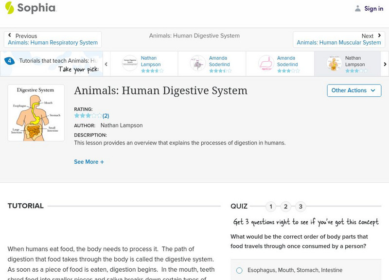 Sophia: Animals: Human Digestive System: Lesson 4 Unit Plan