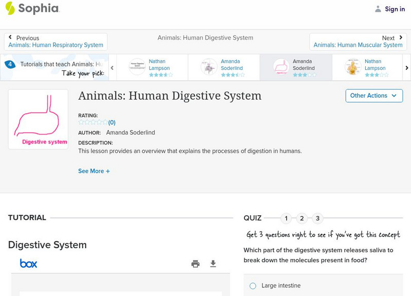 Sophia: Animals: Human Digestive System: Lesson 1 PPT