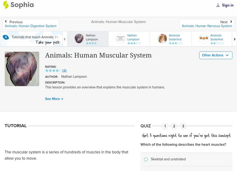 Sophia: Animals: Human Muscular System: Lesson 4 Unit Plan Sophia: Animals: Human Muscular System: Lesson 4 Unit Plan