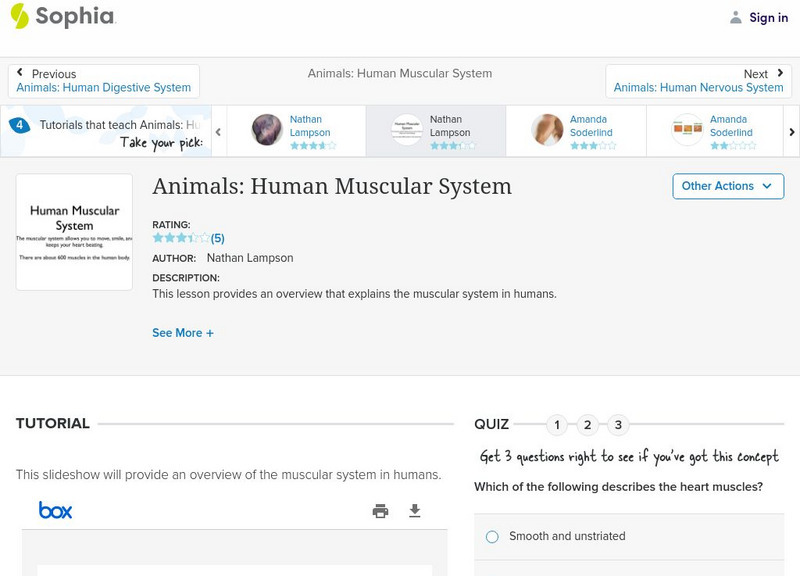 Sophia: Animals: Human Muscular System: Lesson 1 PPT Sophia: Animals: Human Muscular System: Lesson 1 PPT