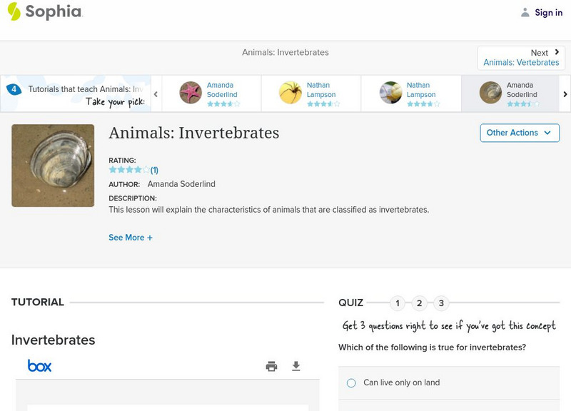Sophia: Animals: Invertebrates: Lesson 3 PPT