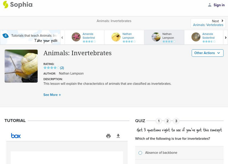 Sophia: Animals: Invertebrates: Lesson 4 PPT