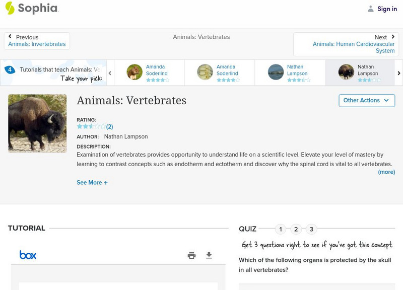 Sophia: Animals: Vertebrates: Lesson 4 PPT