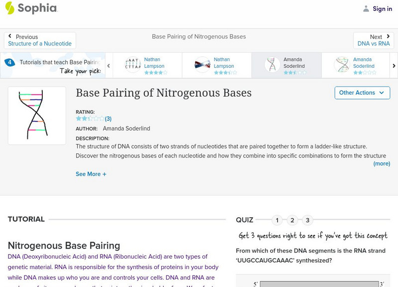 Sophia: Base Pairing of Nitrogenous Bases: Lesson 2 Unit Plan Sophia: Base Pairing of Nitrogenous Bases: Lesson 2 Unit Plan