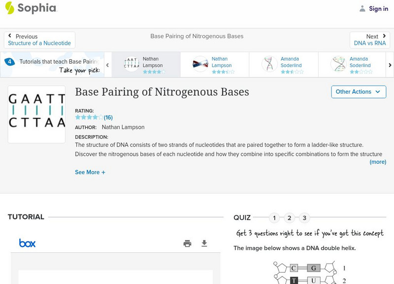 Sophia: Base Pairing of Nitrogenous Bases: Lesson 4 PPT Sophia: Base Pairing of Nitrogenous Bases: Lesson 4 PPT