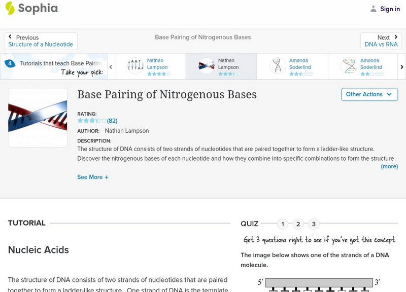 Sophia: Base Pairing of Nitrogenous Bases: Lesson 1 Unit Plan Sophia: Base Pairing of Nitrogenous Bases: Lesson 1 Unit Plan