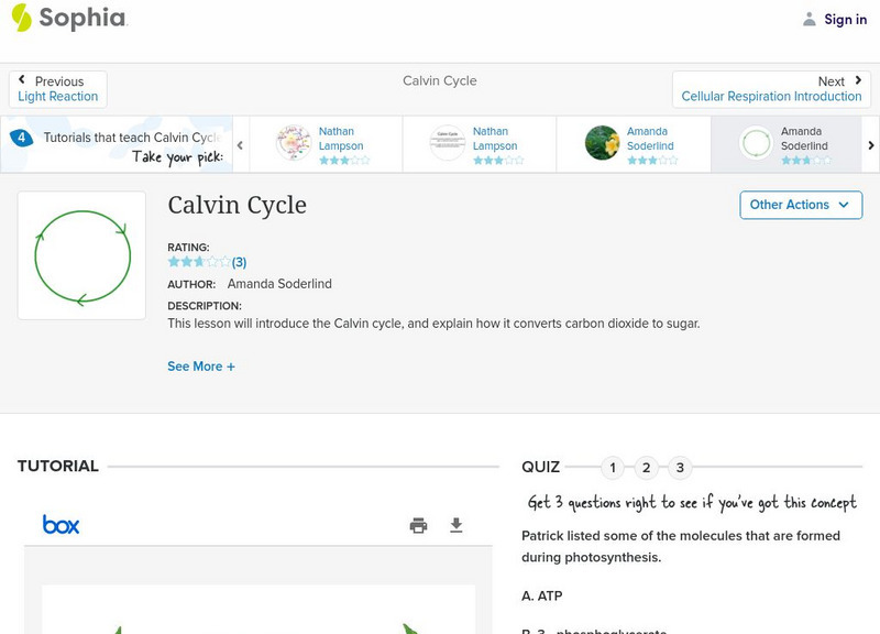 Sophia: Calvin Cycle: Lesson 3 PPT Sophia: Calvin Cycle: Lesson 3 PPT