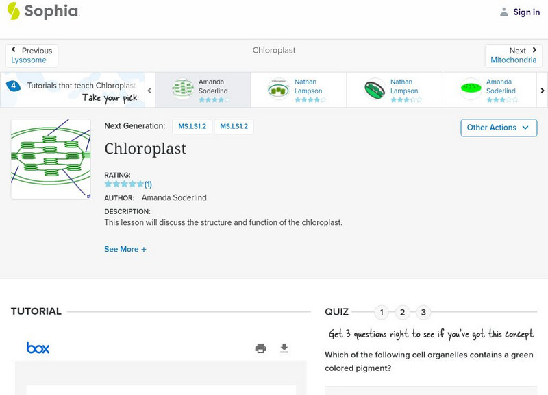Sophia: Chloroplast: Lesson 4 PPT Sophia: Chloroplast: Lesson 4 PPT