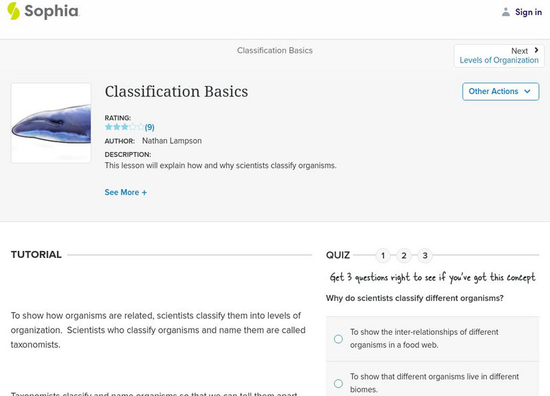 Sophia: Classification Basics Activity Sophia: Classification Basics Activity