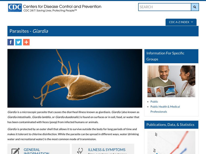 Centers for Disease Control: Parasites and Health: Giardia Graphic