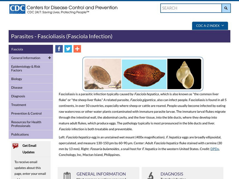 Centers for Disease Control: Parasites and Health: Fascioliasis Handout