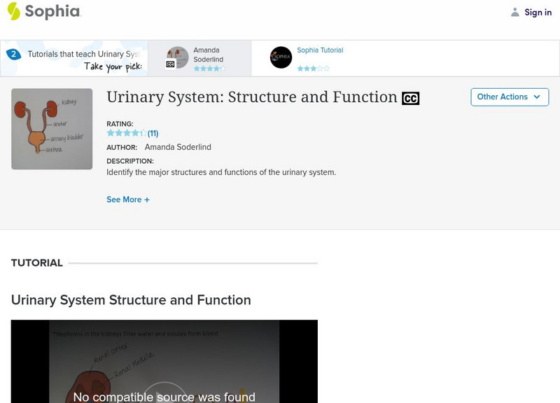 Sophia: Urinary System: Structure and Function: Lesson 1 Instructional Video