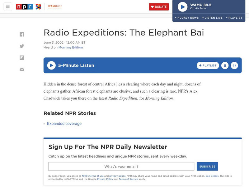 Npr: The Elephant Bai Audio Npr: The Elephant Bai Audio
