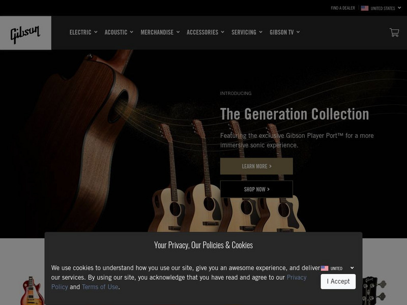 Gibson Home Page Website