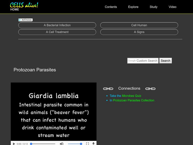 Cells Alive!: Protozoan Parasites Website