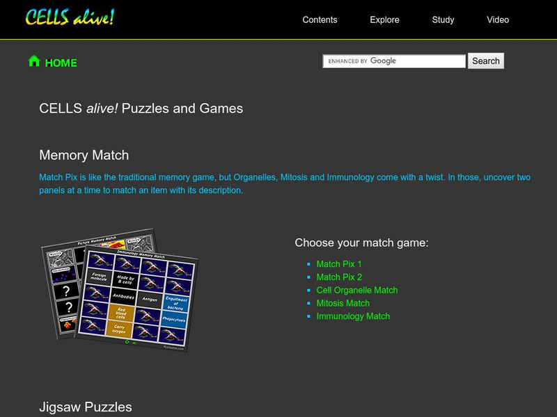 Cells Alive!: Puzzle Page Interactive Cells Alive!: Puzzle Page Interactive
