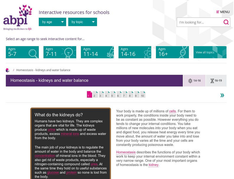 Abpi: Homeostasis: Kidneys and Water Balance Unit Plan Abpi: Homeostasis: Kidneys and Water Balance Unit Plan