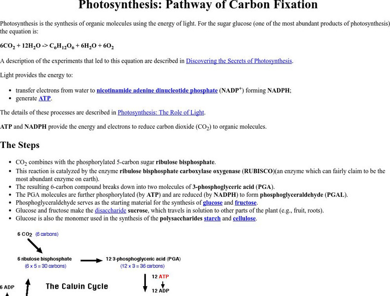 Kimball's Biology Pages: Photosynthesis Carbon Fixation eBook Kimball's Biology Pages: Photosynthesis Carbon Fixation eBook