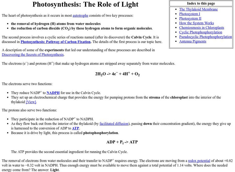 Kimball's Biology Pages: Photosynthesis Role of Light eBook Kimball's Biology Pages: Photosynthesis Role of Light eBook