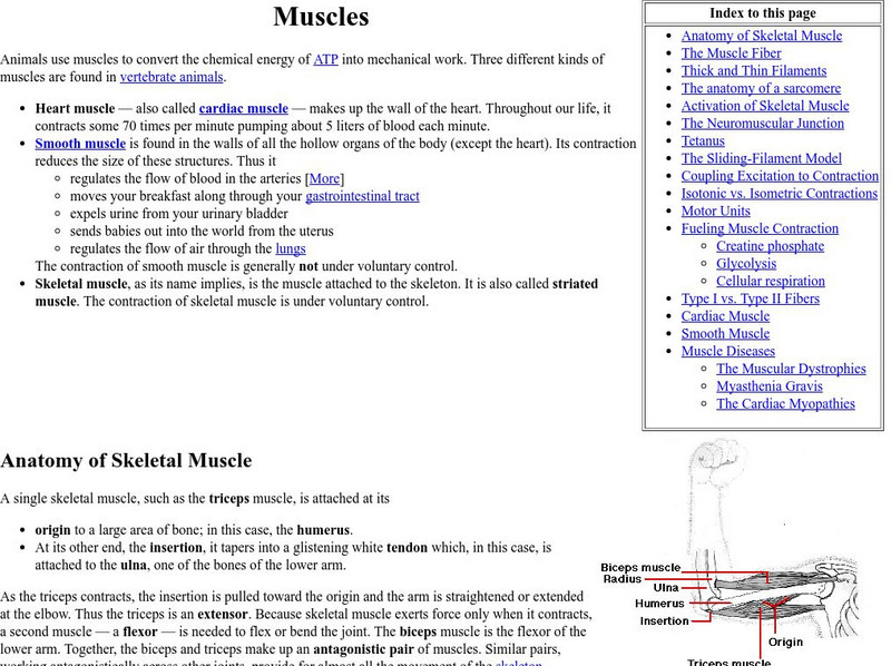 Kimball's Biology Pages: Muscles eBook Kimball's Biology Pages: Muscles eBook