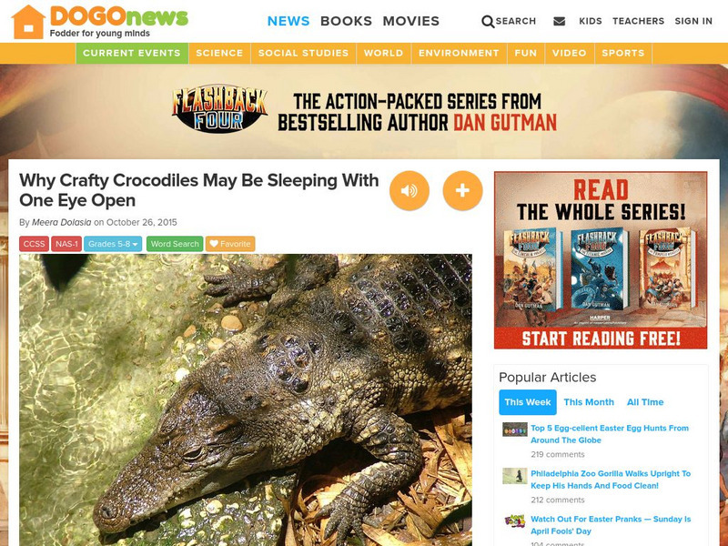 Dogo News: Why Crafty Crocodiles May Be Sleeping With Eye Open Article