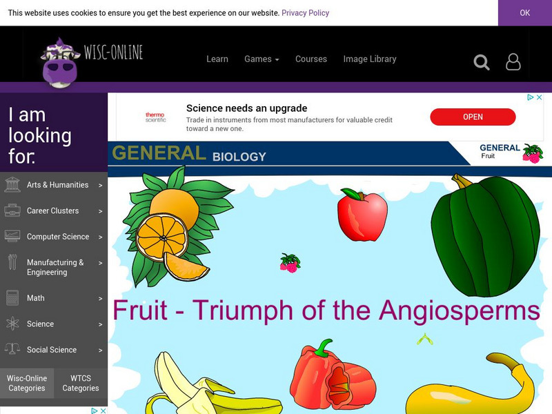 Wisc Online: Fruit: Triumph of the Angiosperms Interactive Wisc Online: Fruit: Triumph of the Angiosperms Interactive