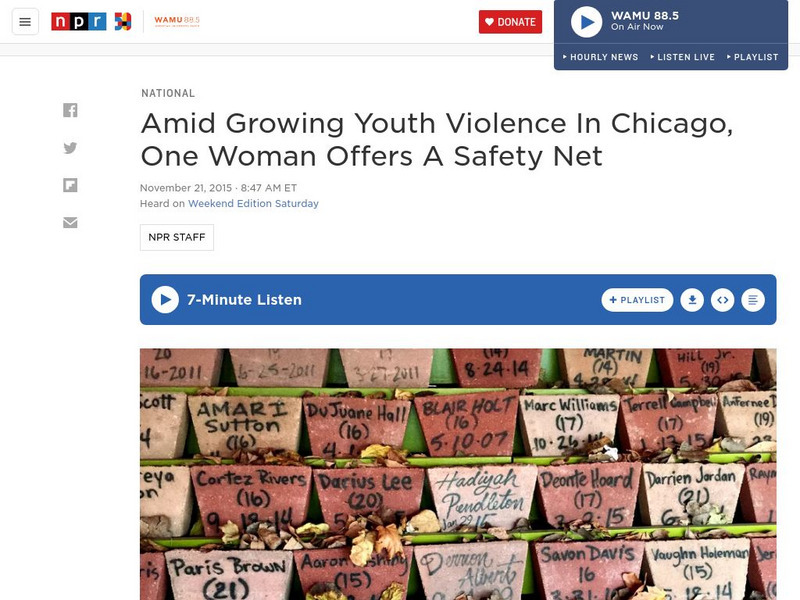 Npr: In Chicago, One Woman Offers a Safety Net Article Npr: In Chicago, One Woman Offers a Safety Net Article