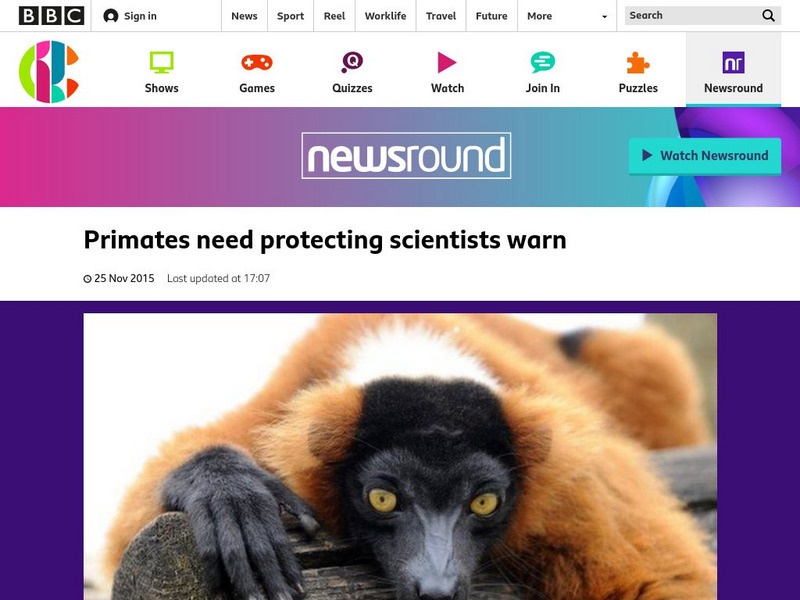 Bbc Newsround: Primates Need Protecting Scientists Warn Article Bbc Newsround: Primates Need Protecting Scientists Warn Article