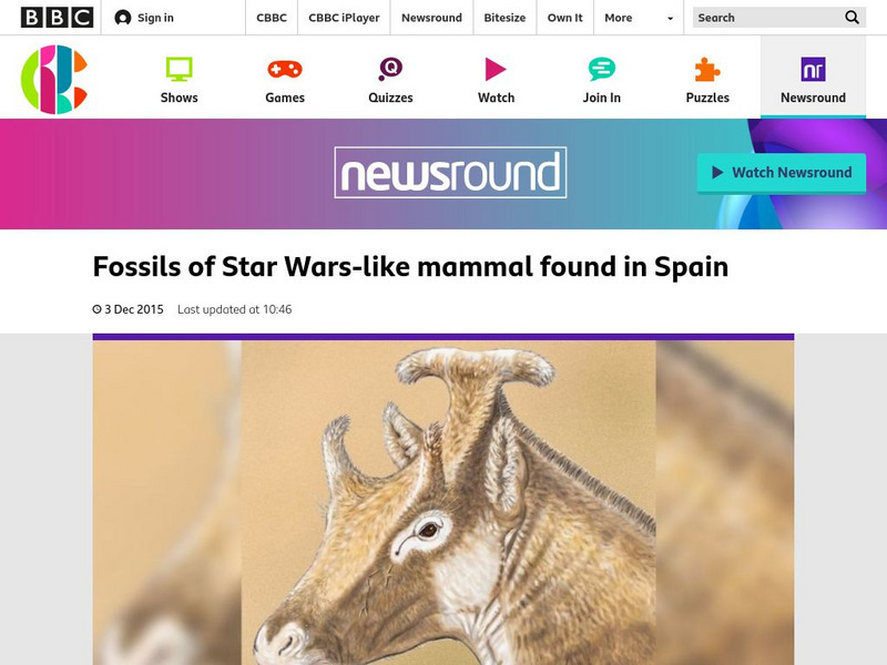 Bbc Newsround: Fossils of Star Wars Like Mammal Found in Spain Article Bbc Newsround: Fossils of Star Wars Like Mammal Found in Spain Article