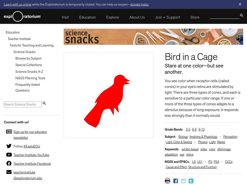 Exploratorium: Science Snacks: Bird in a Cage Activity Exploratorium: Science Snacks: Bird in a Cage Activity