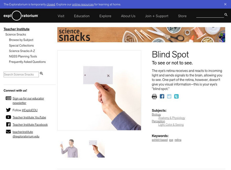 Exploratorium: Science Snacks: Blind Spot Activity Exploratorium: Science Snacks: Blind Spot Activity