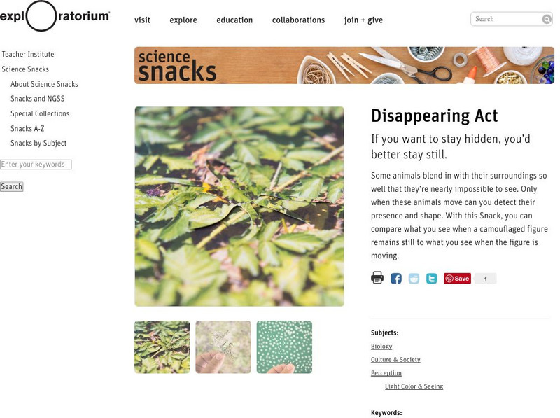 Exploratorium: Science Snacks: Disappearing Act Activity Exploratorium: Science Snacks: Disappearing Act Activity