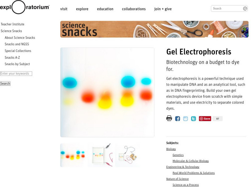 Exploratorium: Science Snacks: Gel Electrophoresis Activity Exploratorium: Science Snacks: Gel Electrophoresis Activity
