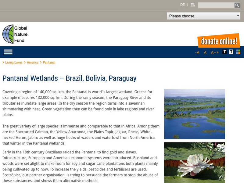 Global Nature Fund: Pantanal Handout Global Nature Fund: Pantanal Handout
