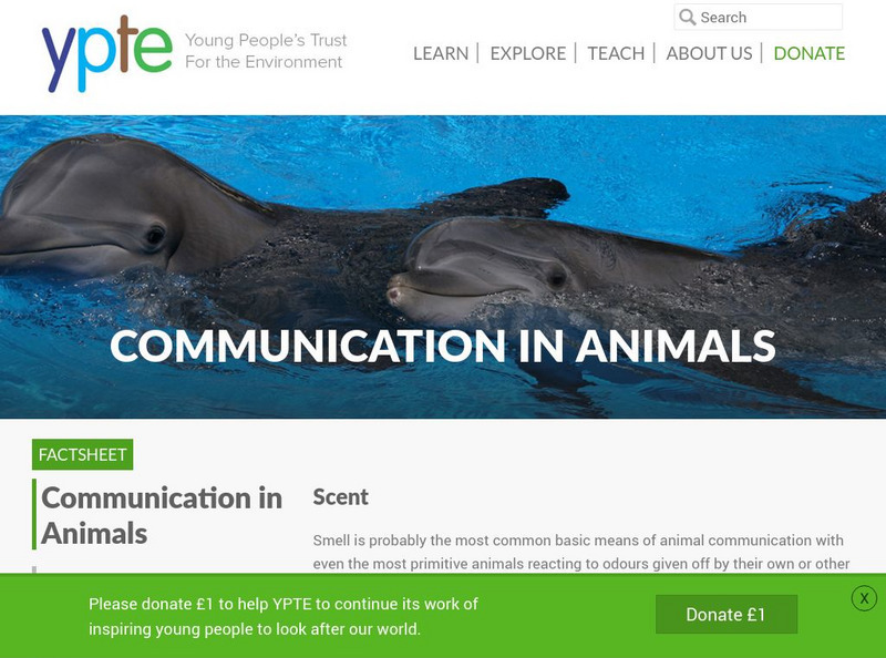 Young People's Trust for the Environment: Communication in Animals Handout Young People's Trust for the Environment: Communication in Animals Handout