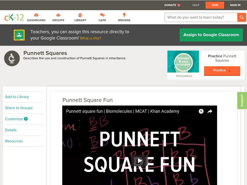 Ck 12: Punnett Squares: Punnett Square Fun Instructional Video