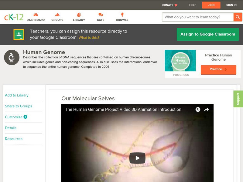 Ck 12: Human Genome: Our Molecular Selves Instructional Video