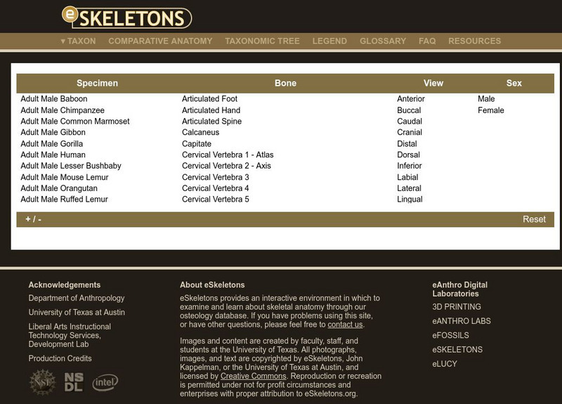 University of Texas at Austin: E Skeletons: Comparative Anatomy Website University of Texas at Austin: E Skeletons: Comparative Anatomy Website