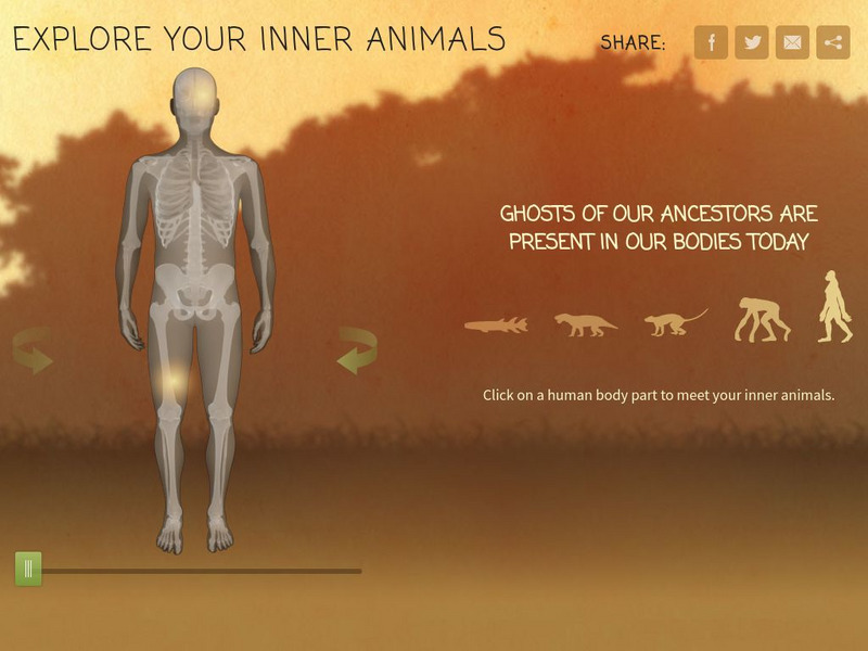 Wgbh/pbs: Explore Your Inner Animals Unit Plan Wgbh/pbs: Explore Your Inner Animals Unit Plan