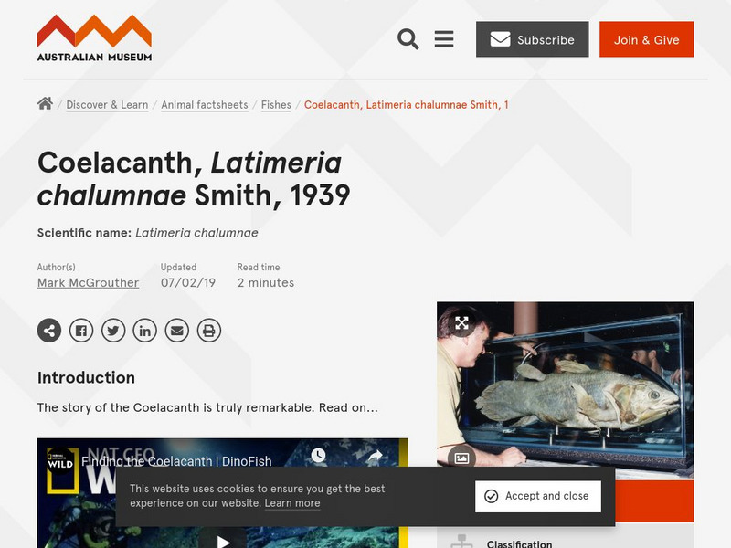 Australian Museum: Fishes: Coelacanth Handout Australian Museum: Fishes: Coelacanth Handout