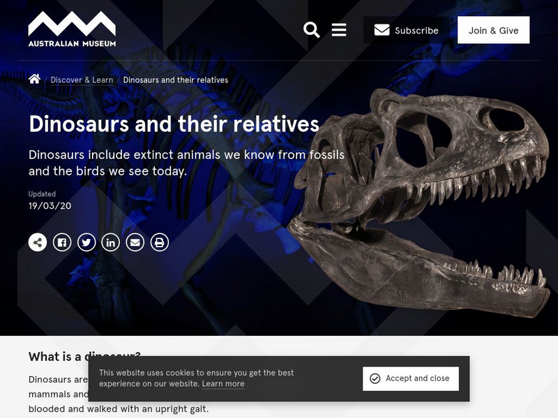 Australian Museum: Plant Eating Dinosaurs Website